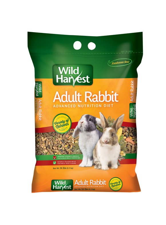 Rabbit Supplies in Rabbits