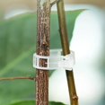 thumbnail image 5 of Plant Support Clips for Garden Stable Plant Branches Twig Holder for Balcony Patios, 5 of 5