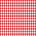 thumbnail image 1 of Nappe en Plastique à Carreaux Rouge et Blanc 52 x 90 Po, 1 of 1