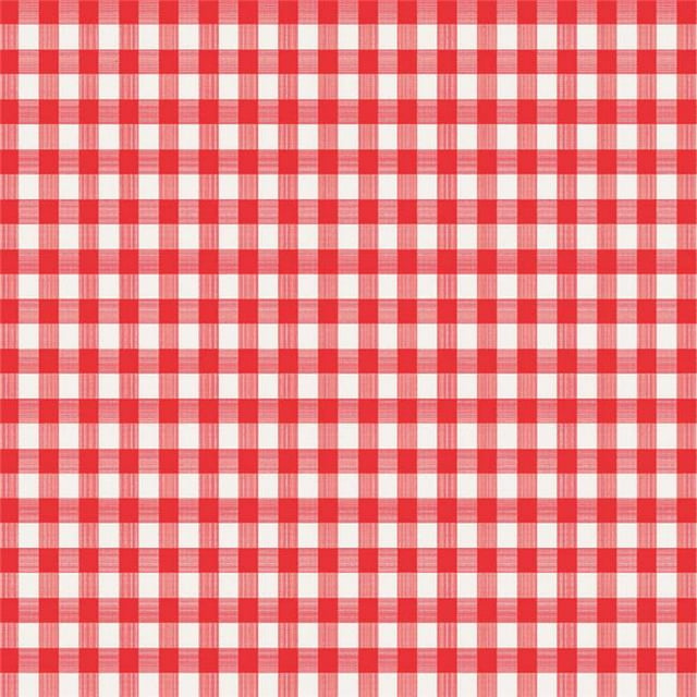 Nappe en Plastique à Carreaux Rouge et Blanc 52 x 90 Po