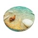 thumbnail image 1 of Balery Starfish And Seashell On The Beach Fundas de asiento para taburete de bar redondo de tela de terciopelo ajustables que protegen de arañazos y manchas para sillas de 14 a 17 pulgadas.-13 inch, 1 of 7