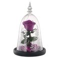 thumbnail image 1 of Flor De Simulación Conservada Flor De Rosa Fresca Regalo De Deshidratación Delicada Con Luz Led De Ambiente Para Cumpleaños De Aniversario Minnieouse HA025919-00, 1 of 5