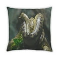 thumbnail image 2 of Ahgly Company Animals Snake Indoor Throw Pillow, 18 inch by 18 inch, 2 of 6
