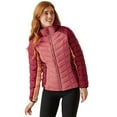thumbnail image 3 of Regatta Womens Dalent Quilted Hooded Jacket, 3 of 5