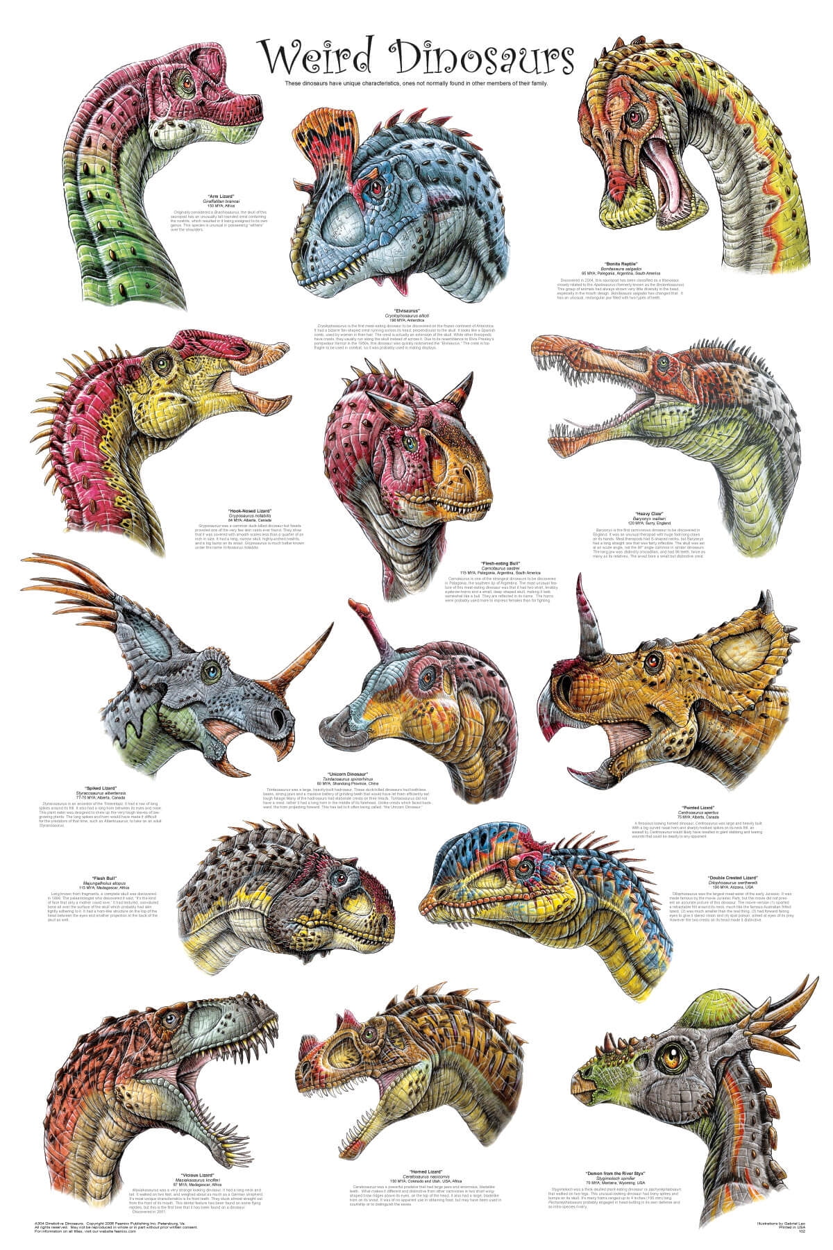 Weird Dinosaurs Educational Poster 24.5x36.5 - Laminated - Walmart.com