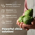 thumbnail image 5 of PureHealth Research CL Balance Formula, 5 of 9