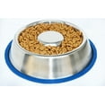 thumbnail image 5 of Slow Feed Anti Bloat Dog Bowl with New Bonded Silicone Base, 5 of 9