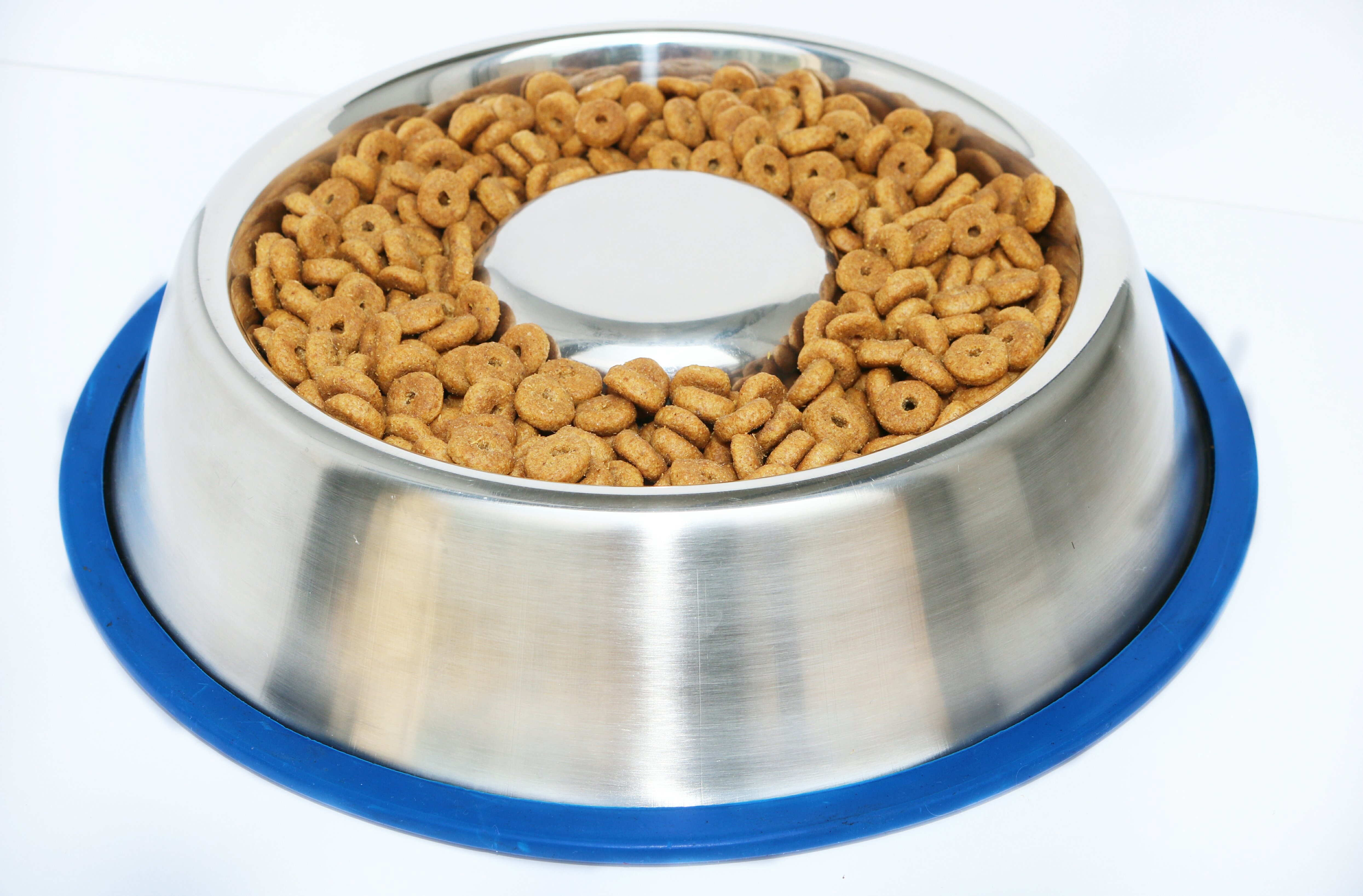 Mr. Peanut's Slow Feed Anti Bloat Dog Bowl photo 5