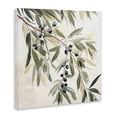 thumbnail image 2 of Stupell Industries Eclectic Olive Petals in Pastel Canvas Art, 17 x 17, by Mona Grace, 2 of 7