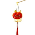 thumbnail image 2 of Homerr DIY Lantern Kit Chinese New Year Lantern DIY Chinese Lantern Kit with Tassels - Rich Colors, Spring Festival Craft Kit, 2 of 11