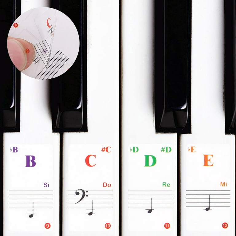 Piano Stickers for Keys Removable for Kids, Color Piano Keyboard Stickers  88/61/54/49/37 Key for Beginners with Bigger Letters, Transparent Note