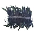 thumbnail image 1 of Gargantilla de plumas naturales BLESIY gótica para disfraz de graduación Negro, 1 of 7