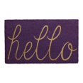 thumbnail image 1 of Felpudo DII Hello Fiber, antideslizante, duradero, 45 x 75 cm, color morado, 1 of 7