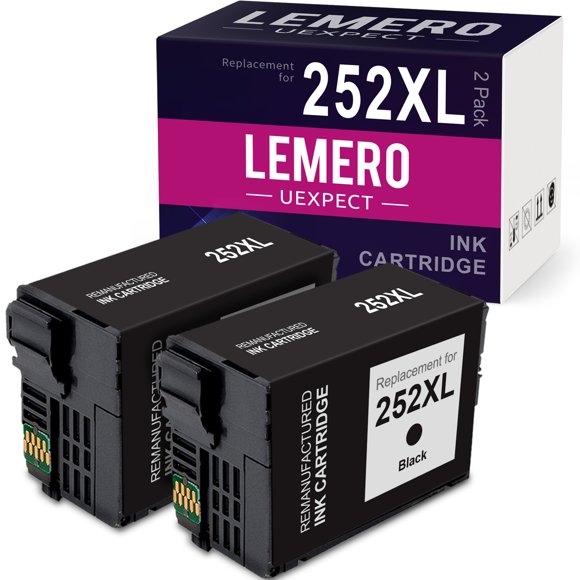 Epson 252 Ink