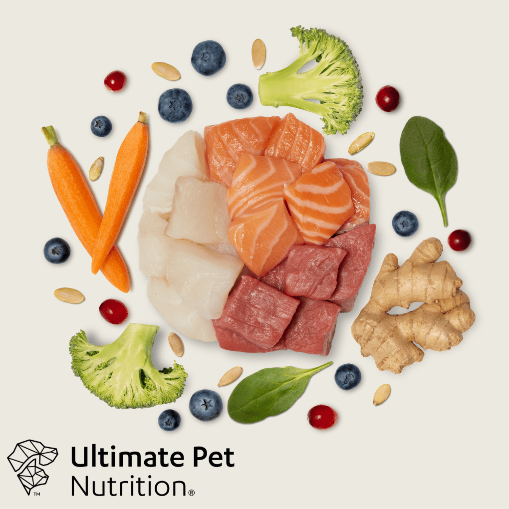 Ultimate Pet Nutrition Nutra Complete Plus Bone Broth Fish & Beef Dog Food 48 oz.