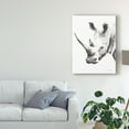 thumbnail image 3 of Trademark Fine Art 'Rhino Gray Crop' Canvas Art by Aimee Del Valle, 3 of 4