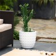 thumbnail image 2 of Luxen Home WHPL1571 MgO Dotted Round Planter, White, 2 of 9