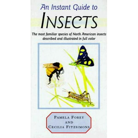 An Instant Guide To Insects The Most Familiar Species Of