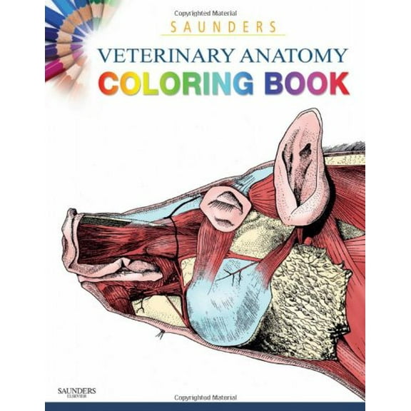 Pre-Owned Saunders Veterinary Anatomy Coloring Book (Paperback) 1437714390 9781437714395
