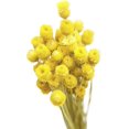 thumbnail image 1 of Ramos secos de flores artificiales NQ 50 tallos naranja, 1 of 5