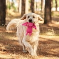 thumbnail image 4 of Durable Interactive Dog Chew Toy for Aggressive Chewers Puppy Teething Training Indoor Outdoor Pet Biting Activity, 4 of 5