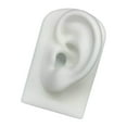 thumbnail image 1 of tredstone Silicone Soft Ear Model Teaching Tool Display Props White, 1 of 9