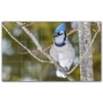 thumbnail image 1 of Picture-Tiles.com: Bird Ceramic Tile Wall Mural WAL500175-53XL. 60"W x 36"H using (15) 12" x 12" Ceramic Tiles-Satin Finish, 1 of 3