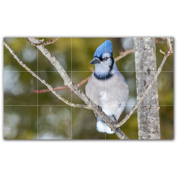 Picture-Tiles.com: Bird Ceramic Tile Wall Mural WAL500175-53XL. 60"W x 36"H using (15) 12" x 12" Ceramic Tiles-Satin Finish