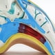 thumbnail image 3 of Foot Anatomy Model, Human Anatomy Foot Model, Normal Flat Arched Foot Model, Human Foot Muscle Model, 3 of 5