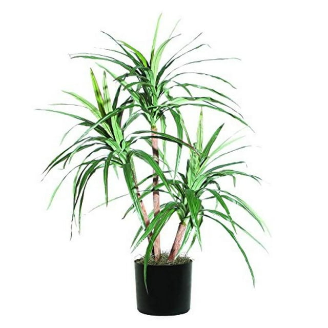 Vickerman Vickerman 4' Marginata Artificielle Supplémentaire Pleine.
