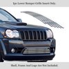 APS Compatible with Jeep Grand Cherokee 2009-2010 SRT8 Lower Bumper Stainless Steel SS Chrome Billet Front Grill Grille Insert J66605A