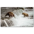 thumbnail image 1 of Picture-Tiles.com: Bear Ceramic Tile Wall Mural WAL500118-53M. 30"W x 18"H using (15) 6" x 6" Ceramic Tiles-Satin Finish, 1 of 3