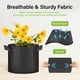 thumbnail image 5 of Macetas para cultivo de plantas HealSmart Tomoato de 3 galones, 10 unidades, 5 of 7