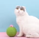 thumbnail image 2 of Kitty Grinding Claw Scratching Ball Soft Cute Sisal Ball Kitty Biting Toy seitruly PT001242-00, 2 of 6