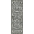 thumbnail image 2 of BERTHMEER 2'x6' Runner Rugs for Hallway Kitchen Entryway Bedroom Bathroom Washable Non-slip Vintage Floral Runner Rug,Gray, 2 of 6