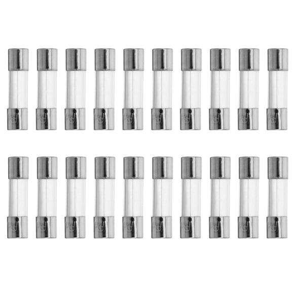 PTOOTP 20Pcs 2 Amp Fuse Replacements with Glass Tubes for Home and Office Use