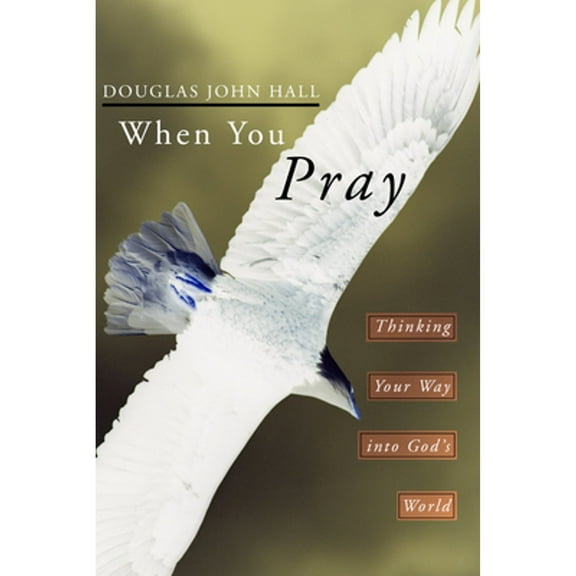When You Pray (Paperback)