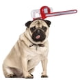 thumbnail image 1 of Tocados para perros y gatos, tocados de Halloween para mascotas, accesorios para trucos de mascotas, sombrero divertido MFZFUKR BST3000289-4, 1 of 5