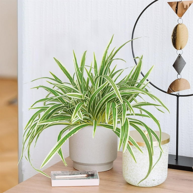 Artificial Spider Plant Greenery Faux Hanging Plant Bush Realistic Indoor  Outdoor Decorative Plant for Planter Shelf Table Garden Patio Home Decor,1  ...