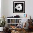 thumbnail image 4 of Art.com White Daisy Photographic Print by Gail Peck, Brown Frame Wall Art, 38" x 38", 4 of 5