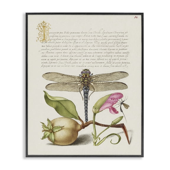 Stupell Industries French Country Vintage Dragonfly & Plants Black Framed Giclee Art, 11 x 14, by Melissa Wang