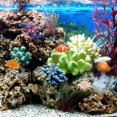 thumbnail image 2 of 4 Piezas Peces Tropicales Artificiales Flotantes CHAO Decoraciones Acuario, 2 of 5