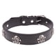 thumbnail image 1 of KAKOWELY collar de cuero negro con diseño de calavera para Halloween, ajustable, para mascotas, suministros para perros y cachorros., 1 of 4