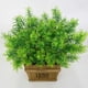 thumbnail image 5 of Advancent Planta artificial hierba jardín paisaje planta boda fiesta plástico hierba falsa Plantas Artificiales pino torre de 5 horquillas, 5 of 6