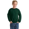 thumbnail image 3 of Hanes ComfortBlend EcoSmart Boy`s Crewneck Sweatshirt, L, Deep Forest, 3 of 6