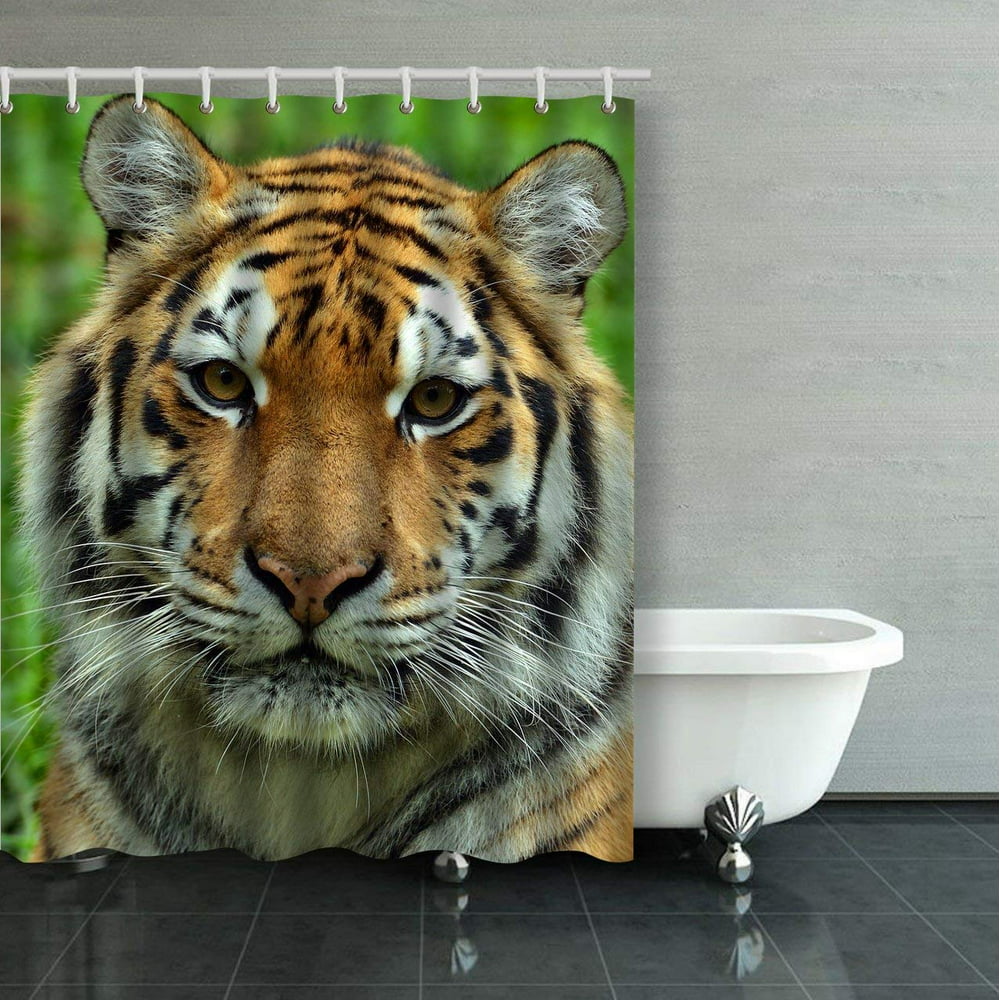 BPBOP Portrait Of Tigers Shower Curtain Bathroom Curtain 60x72 inches ...
