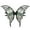Black, variant on Coollooc Halloween Fairy Wings Costume Set for Adults - Elf Accessories Butterfly Wings for Halloween or Daily Party Decor, Halloween Costumes for Women Sparkly Assistant(Black)