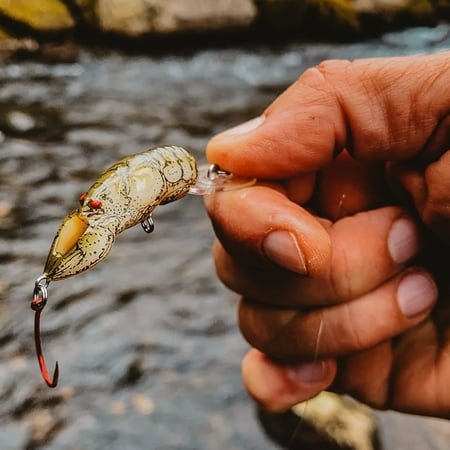 Rebel Frog-R Topwater Cricket Frog 2 3/8 5/16 oz.