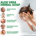 thumbnail image 4 of Herboganic Aloe Vera Herbal Soap Bar - Gentle Exfoliating and Nourishing Soap for Men And Women 5 oz Pack of 1, 4 of 7