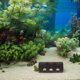 thumbnail image 4 of unbranded Refugio Para Peces Y Camarones En Acuario Color Café Para Reproducción Y, 4 of 6